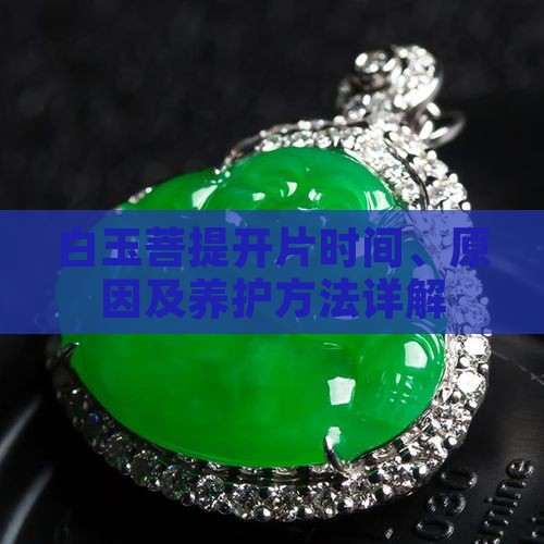 白玉菩提多久会开片