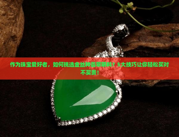 如何买金丝种翡翠明料