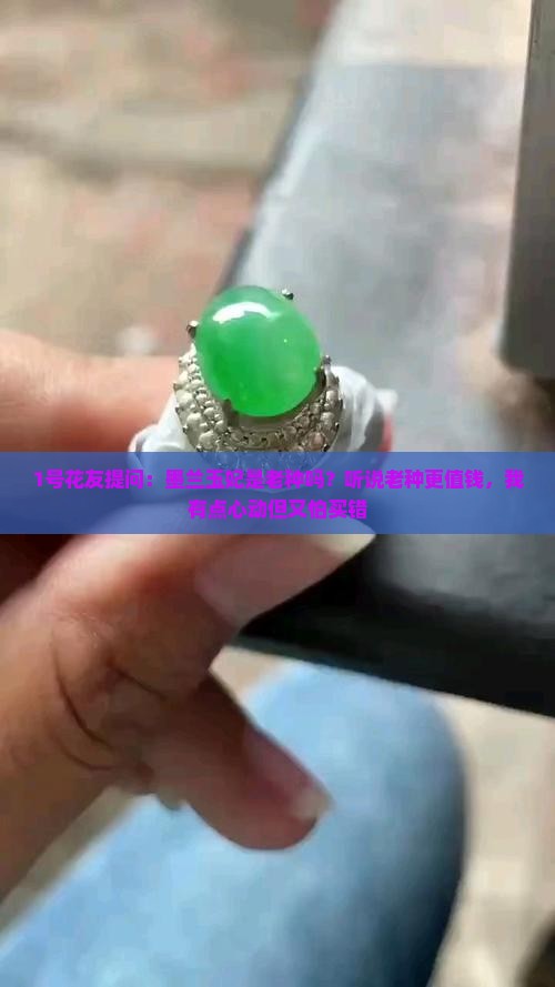 墨兰玉妃是老种吗