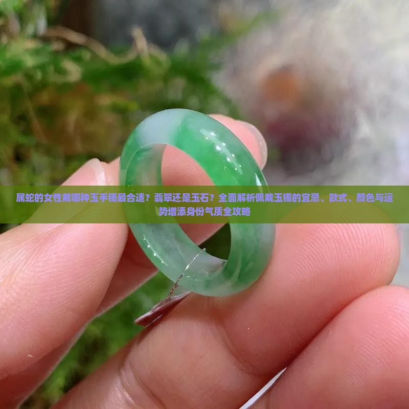 属蛇的能不能戴玉手镯