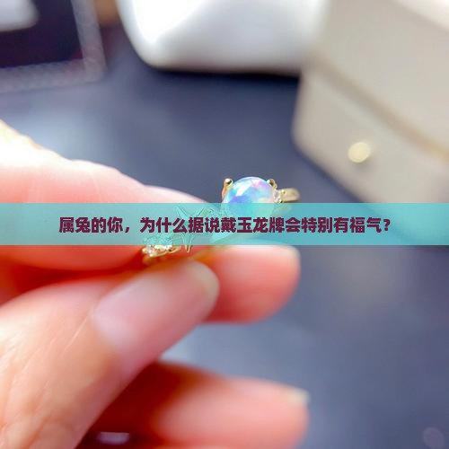 属兔的适合戴玉龙牌