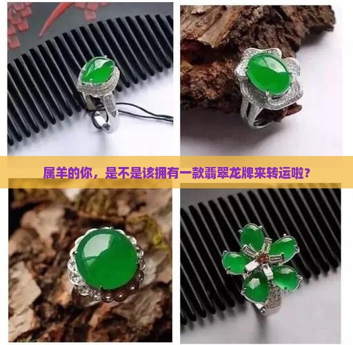 翡翠龙牌适合属羊人吗