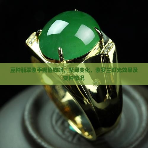 豆种翡翠紫