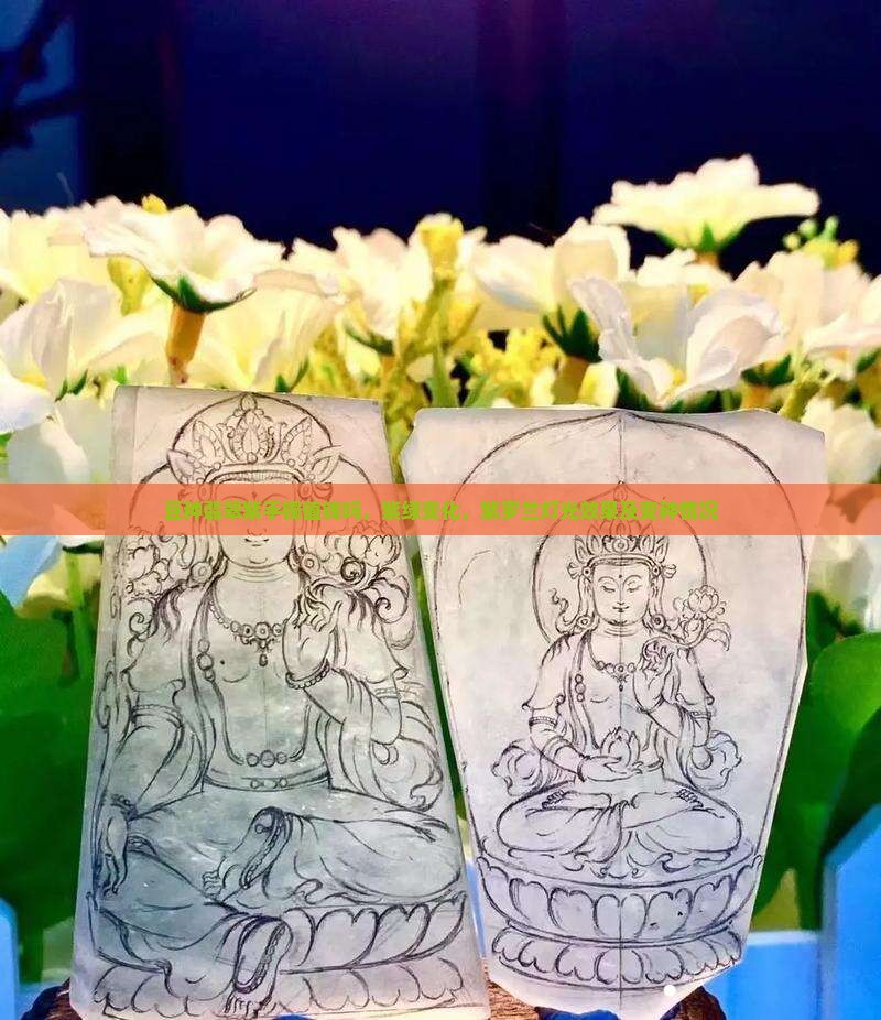 豆种翡翠紫