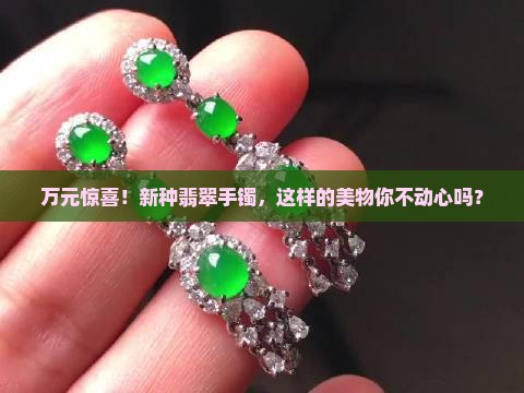 十万买新种翡翠手镯