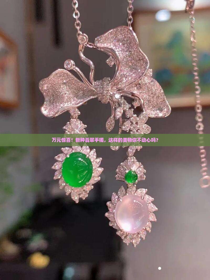 十万买新种翡翠手镯