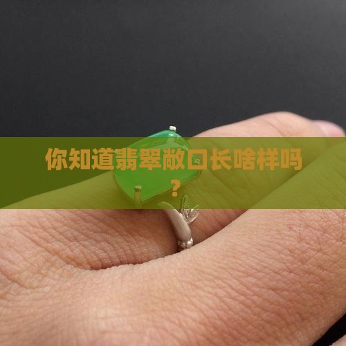 翡翠敞口有哪些