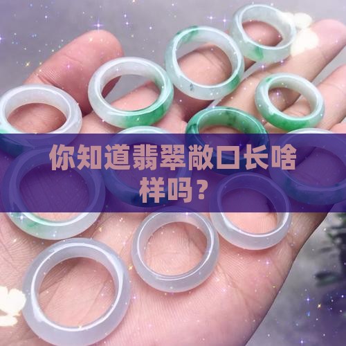 翡翠敞口有哪些