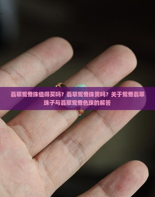 翡翠鸳鸯珠值得买