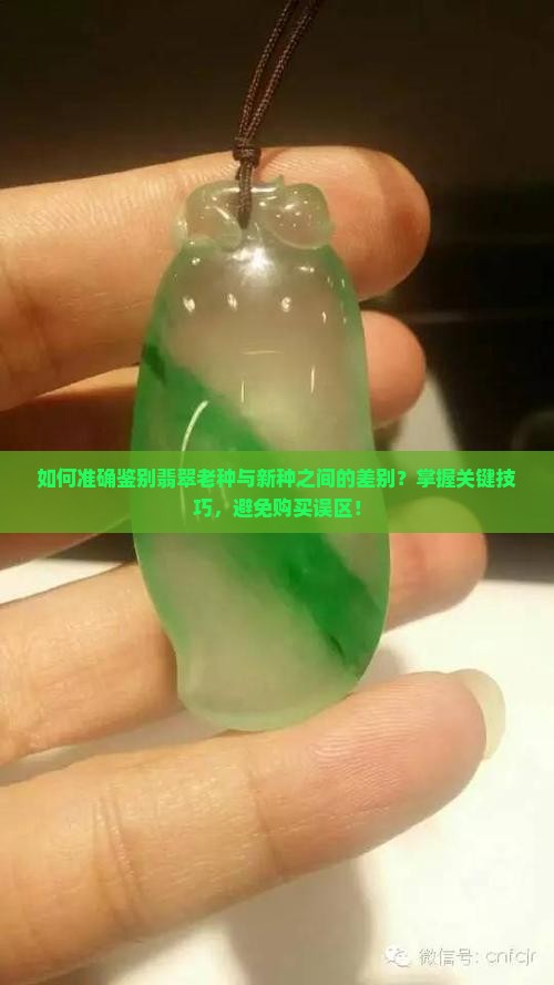 翡翠老种和新种怎么区分