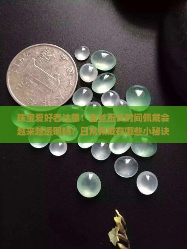 金丝玉越带越透明是真的吗
