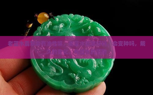 老蓝水翡翠会有油性嘛