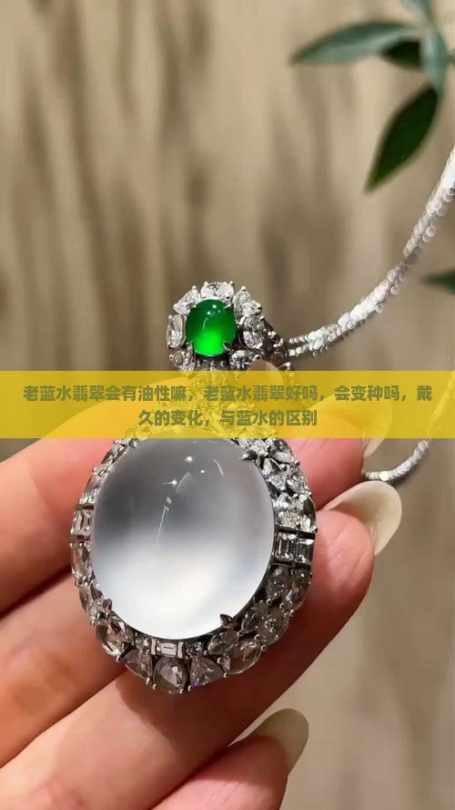 老蓝水翡翠会有油性嘛