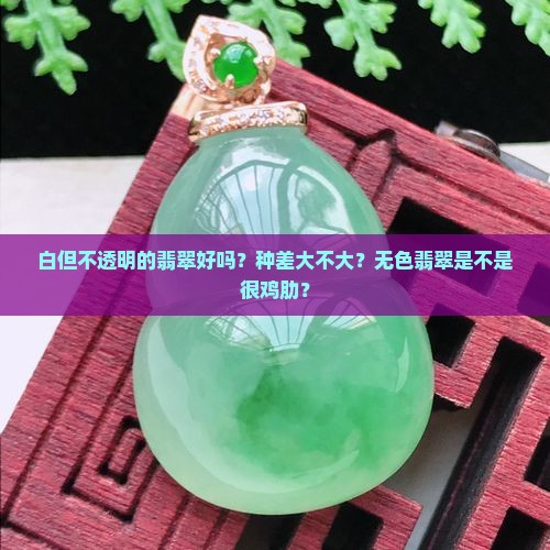 白但不透明的翡翠好吗