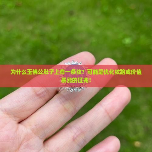 玉佛公肚子上有一条纹