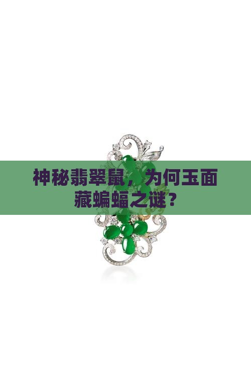 翡翠玉蝙蝠鼠