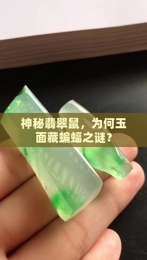 翡翠玉蝙蝠鼠