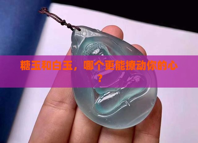 糖玉和白玉哪个好