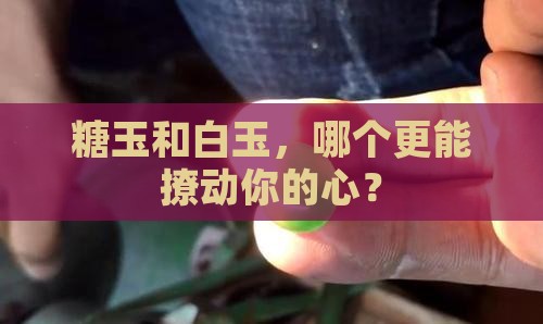 糖玉和白玉哪个好