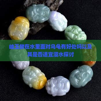 岫玉放在水里面对乌龟有好处吗 岫玉放在水里面对乌龟有好处吗