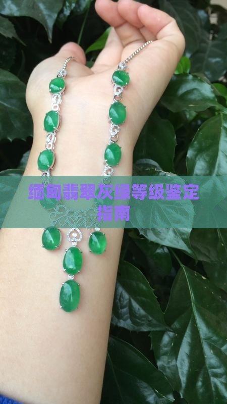 缅甸翡翠灰绿