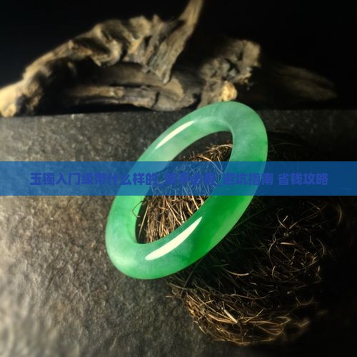 玉镯入门级带什么样的