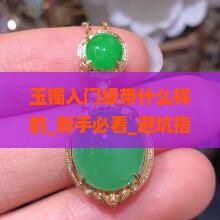玉镯入门级带什么样的