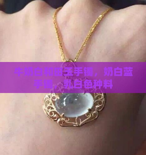 牛奶白和田玉手镯