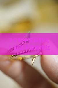 翡翠手镯带橙红翡