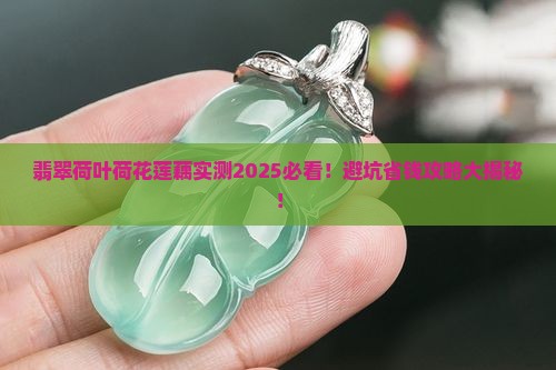 翡翠荷叶荷花莲藕