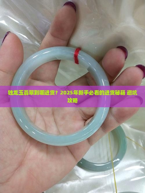 独龙玉翡翠到哪进货