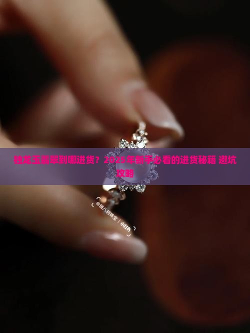 独龙玉翡翠到哪进货