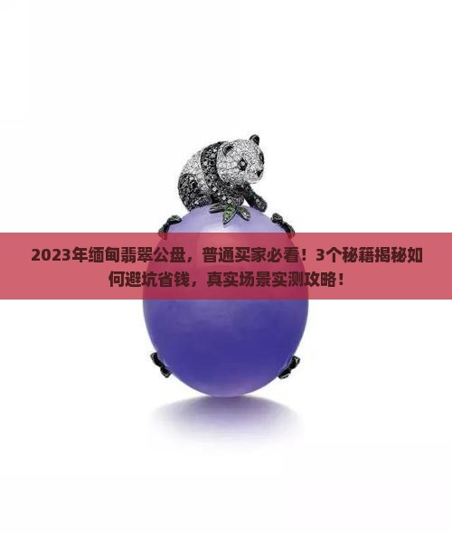 2023年缅甸翡翠公盘