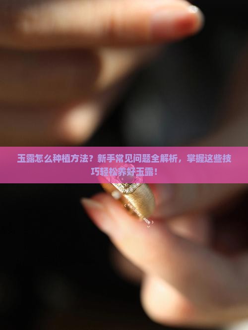 玉露怎么种植方法