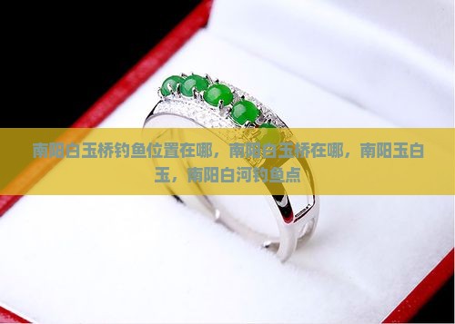 南阳白玉桥钓鱼位置