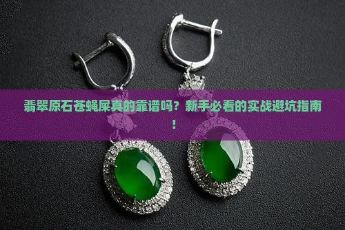 翡翠原石苍蝇屎实战