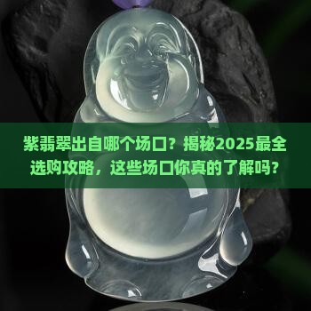 紫翡翠出自哪个场口