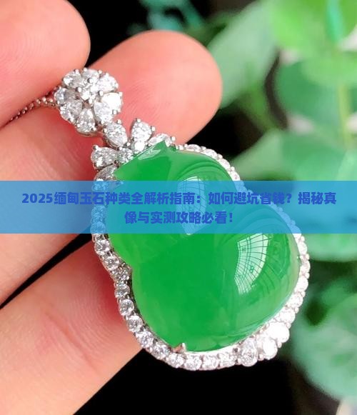 缅甸玉石上的种类是什么