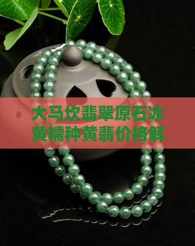 大马坎翡翠原石冰黄糯种黄翡价格解析