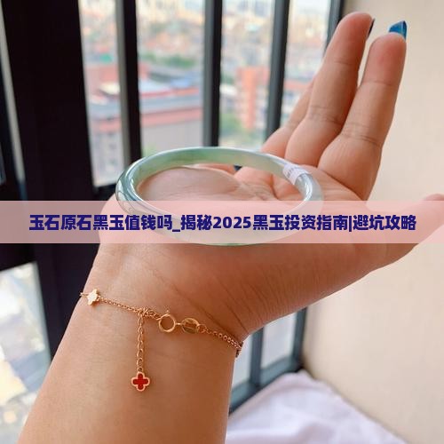 玉石原石黑玉值钱吗