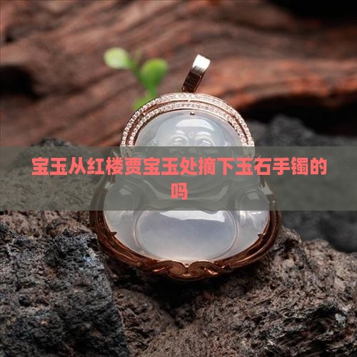 宝玉从哪摘下玉石手镯的呢