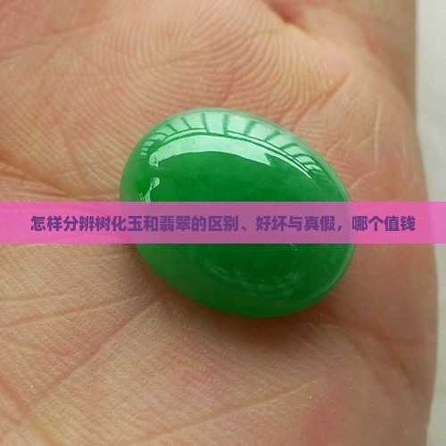 怎样分辨树化玉和翡翠