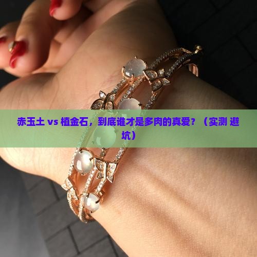 赤玉土与植金石