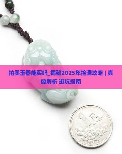 拍卖玉器能买吗