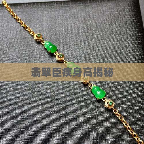 翡翠臣疾身高