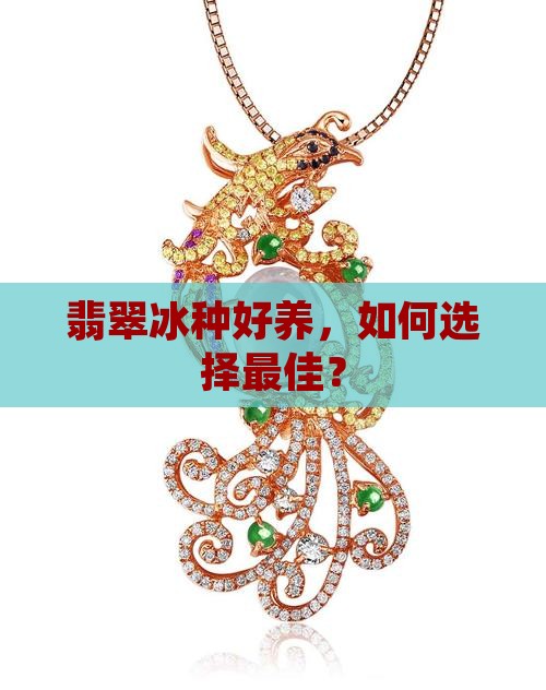 翡翠什么冰种好养