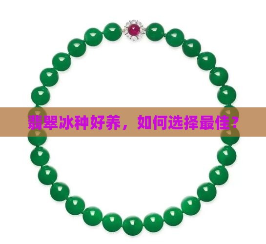 翡翠什么冰种好养
