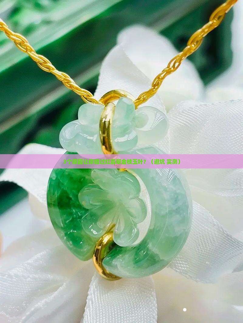 红翡翠金枝玉叶