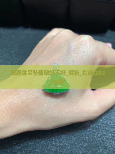 戴貔貅吊坠翡翠好不好