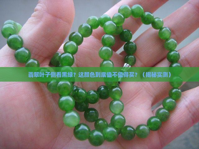 翡翠叶子侧看黑绿